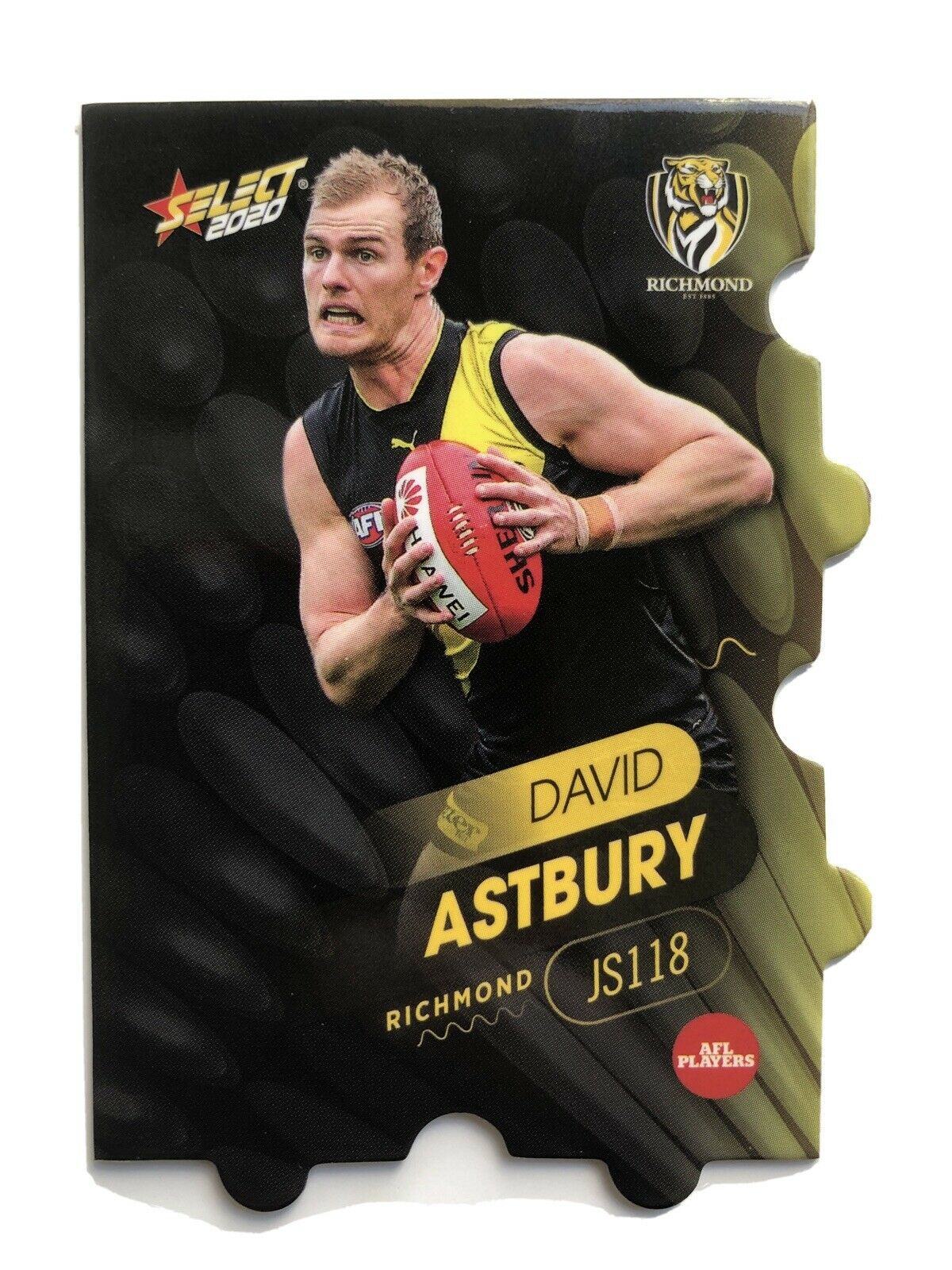 2020 Select FootyStars Jigsaw JS118 David ASTBURY (Rich)