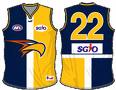 AFL 2006 Teamcoach How to Play card Team Set WEST COAST