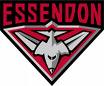 2005 AFL Stickers Team Set ESSENDON